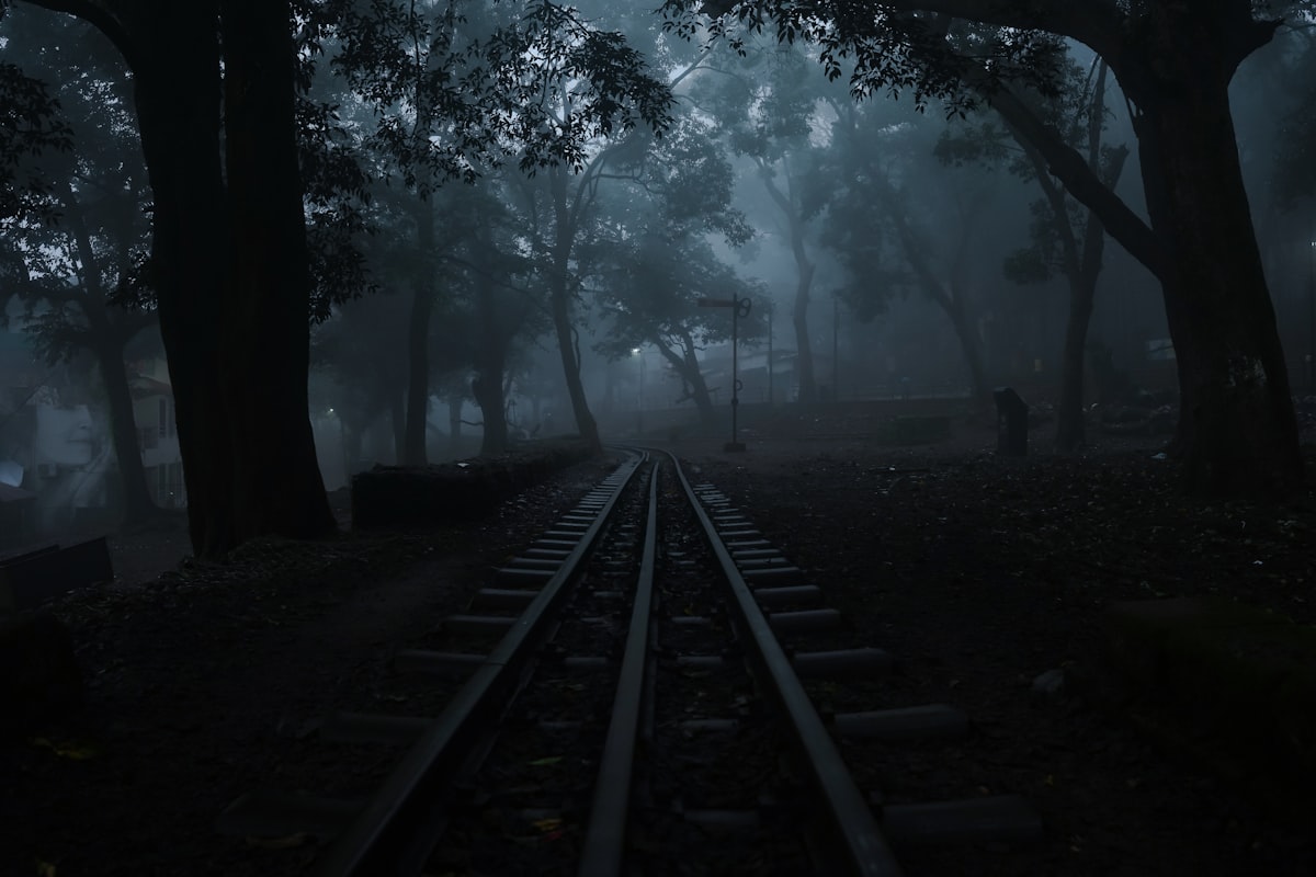 Misty green hills and forest trails at Matheran hill station in Maharashtra