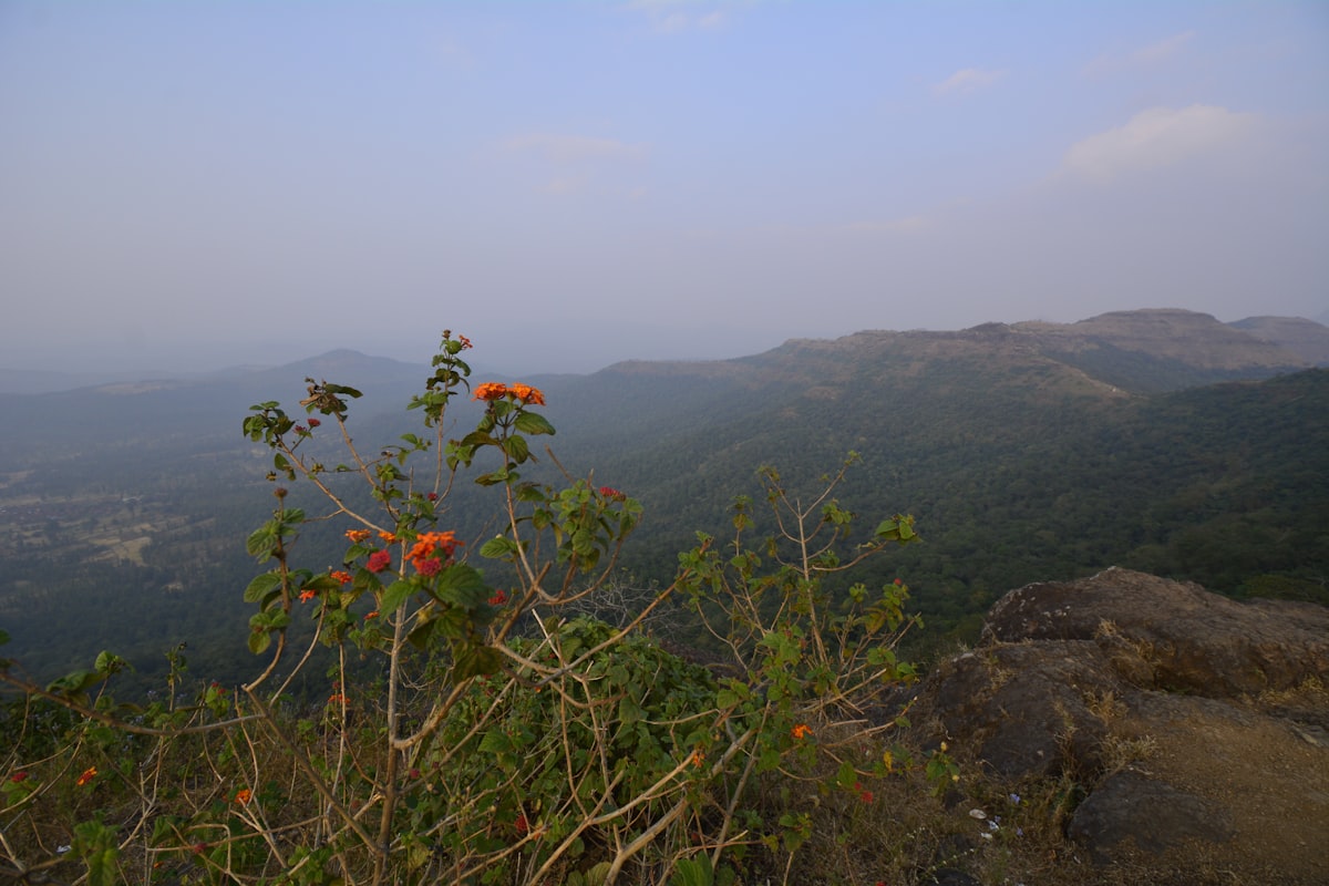 Rolling green hills and misty valleys near Saputara hill station in Gujarat